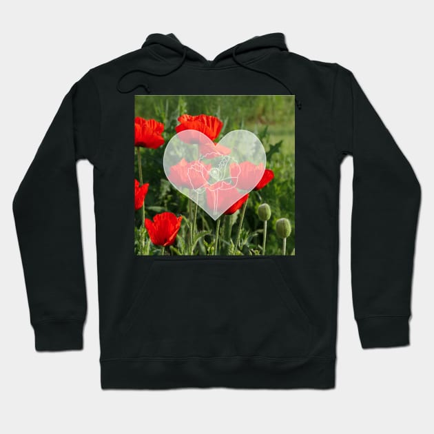 Popies at Flanders field Hoodie by Aurealis